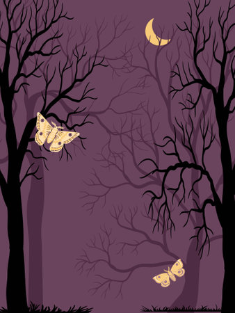 vector drawing night forest landscapeのイラスト素材