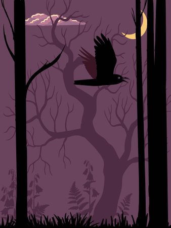 vector drawing night forest landscapeのイラスト素材