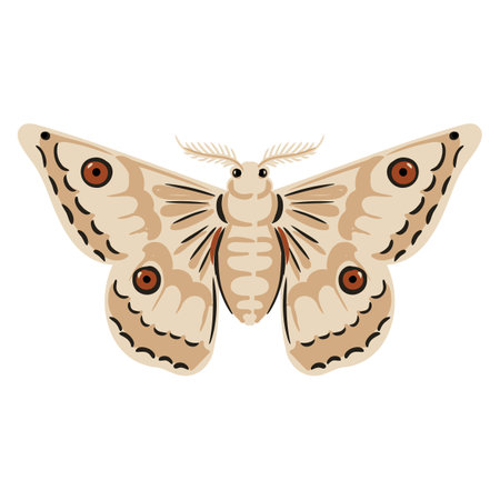 vector drawing moth, butterflyのイラスト素材