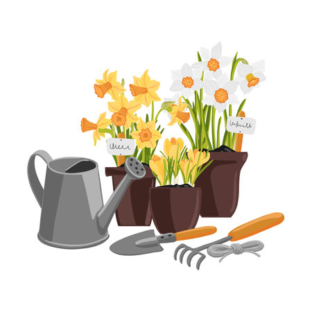 garden instruments and narcissus flowersのイラスト素材