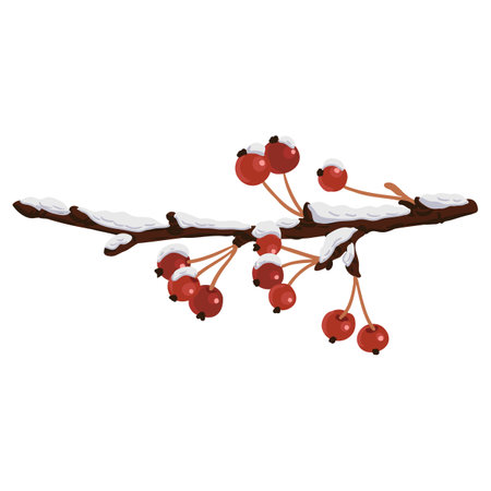 tree branch with berries in winterのイラスト素材