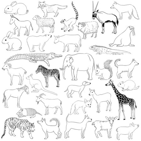 vector drawing african animalsのイラスト素材