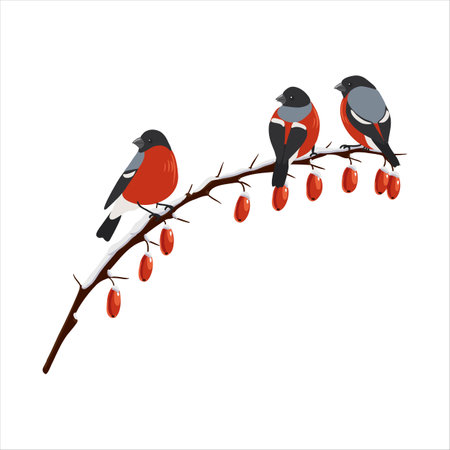 tree branch with berries in winterのイラスト素材