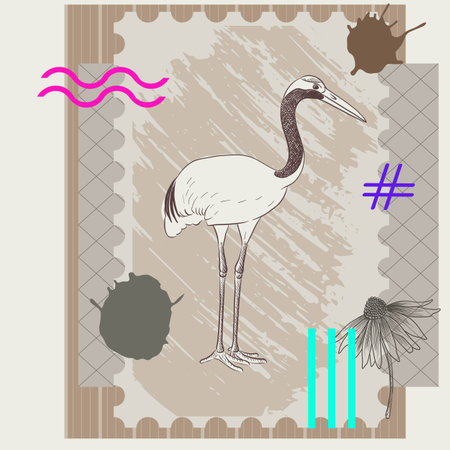 vector collage with birdのイラスト素材