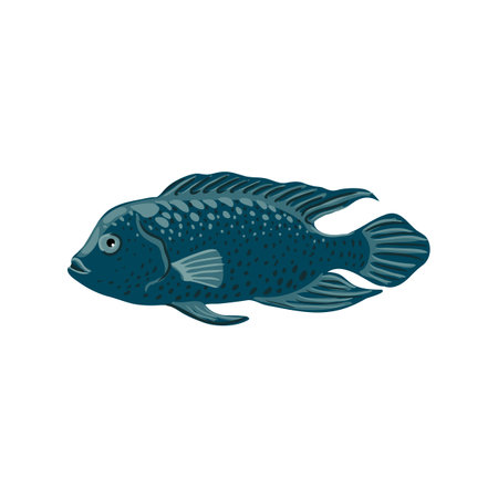vector drawing tropical fishのイラスト素材