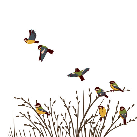 vector drawing great tit birdsのイラスト素材