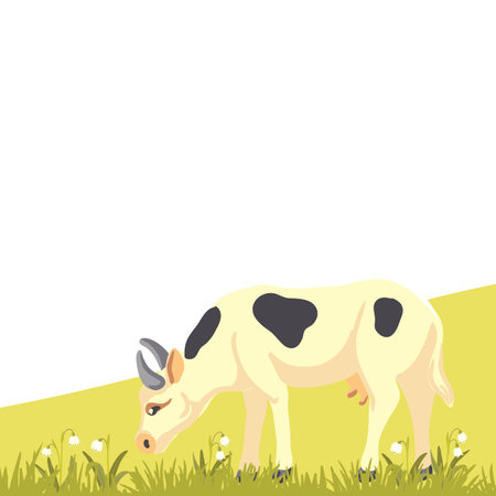 vector drawing white cowのイラスト素材