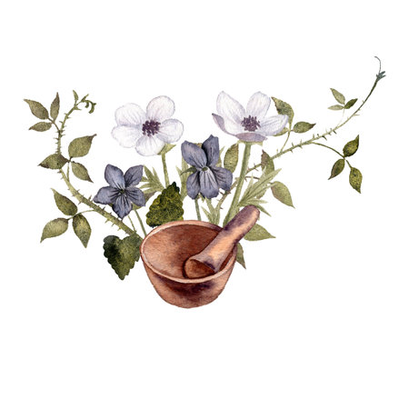 watercolor drawing mortar and pestleの写真素材