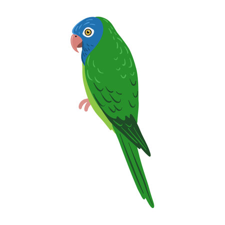 vector drawing bird, blue-crowned conureのイラスト素材