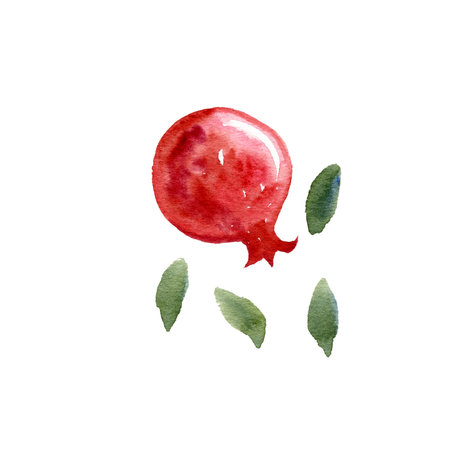 watercolor drawing fruits of pomegranateの写真素材