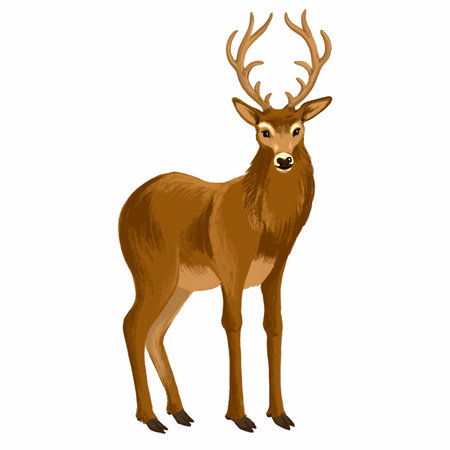 drawing animal, deerの写真素材