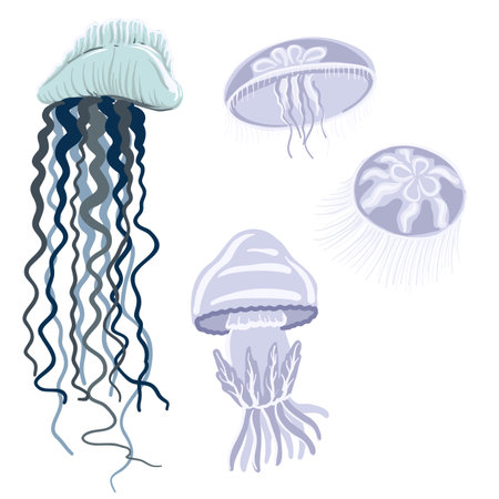 vector drawing sea setのイラスト素材