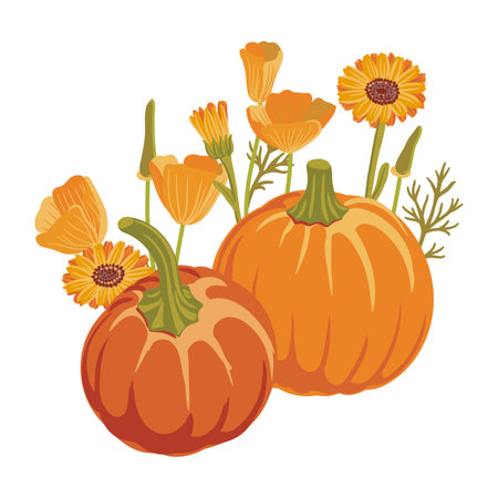 vector drawing pumpkins, flowers and birdsのイラスト素材
