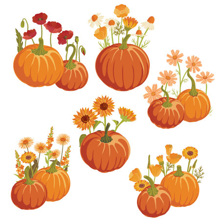 vector drawing pumpkins, flowers and birdsのイラスト素材
