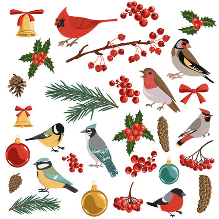 vector drawing cardinal bird at fir branchのイラスト素材