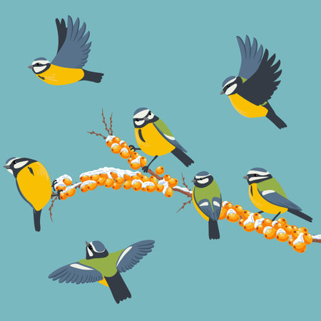 vector drawing bird, blue titのイラスト素材