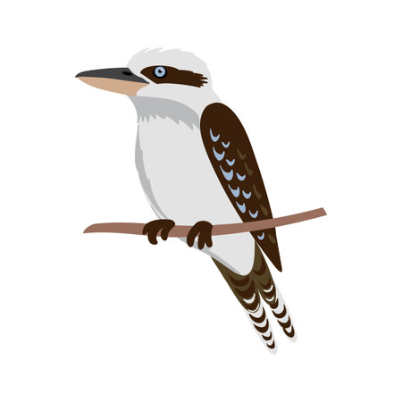 vector drawing bird, laughing kookaburraのイラスト素材