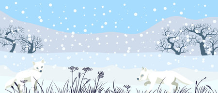 vector drawing winter landscapeのイラスト素材