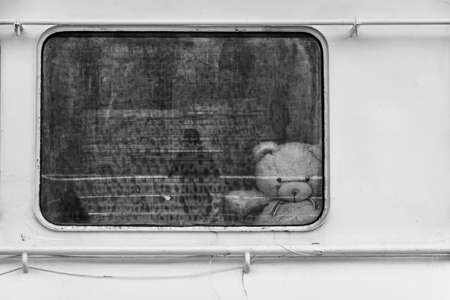 In a deep depression. White bear through ship window. black white, concept