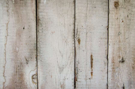 White grunge wood close-up background. Painted old wooden wall.の写真素材