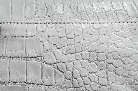 White pearl texture of reptile skin with seams and edges. Useful as a backgroundの写真素材