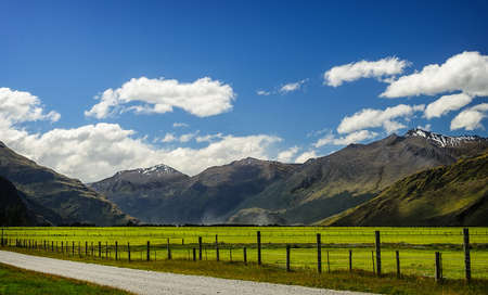 One of the many starkly beautiful pastures in New Zealand's south island