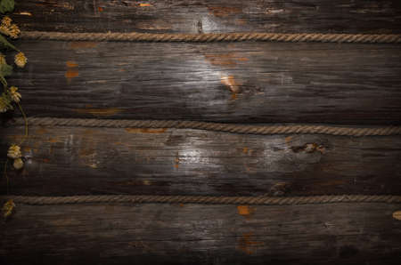 Texture, a wall made of wooden logsの写真素材