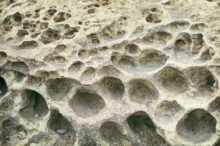 Closeup rock erosion holes sea wall.の写真素材