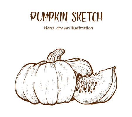 Pumpkin vector drawing set.のイラスト素材
