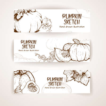Pumpkin sketch hand drawn illustration. Vegetable engraved style illustration. Detailed vegetarian food sketch. Farm market product.のイラスト素材