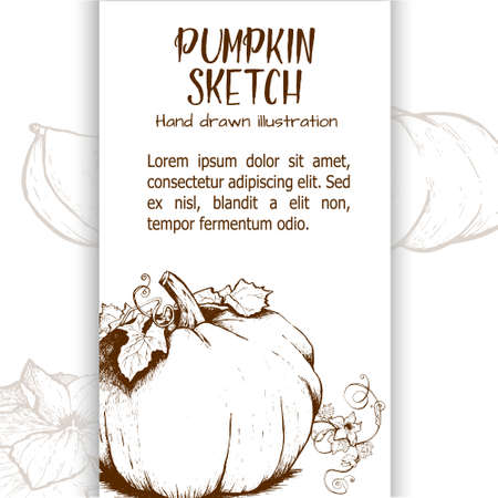 Pumpkin sketch hand drawn illustration. Vegetable engraved style illustration. Detailed vegetarian food sketch. Farm market product.のイラスト素材