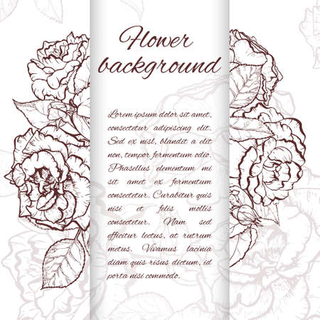 Rose hand drawn illustration.のイラスト素材