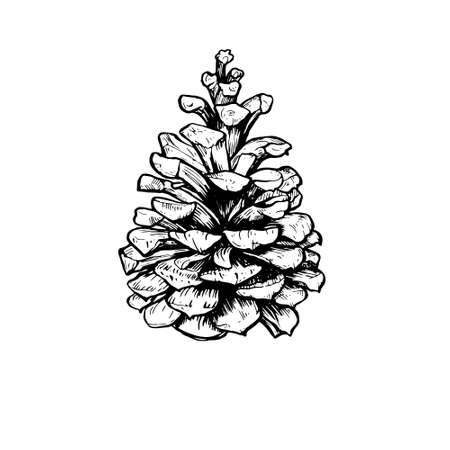 Hand drawn vector illustrations.のイラスト素材