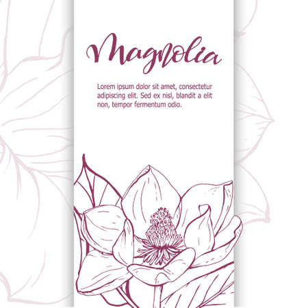 Sketch linear magnolia blossom.のイラスト素材