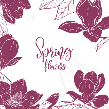 Sketch linear magnolia blossom.のイラスト素材