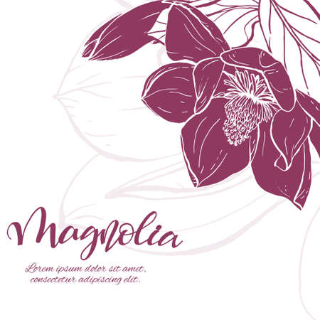 Floral background. Hand drawn vector botanical illustration. Template greeting card, wedding invitation banner with spring flowers. Sketch linear magnolia blossom.Engraved style illustration.のイラスト素材