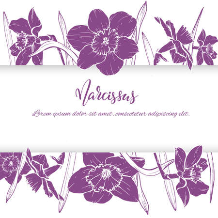 Floral background. Hand drawn vector botanical illustration. Template greeting card, wedding invitation banner with spring flowers. Sketch linear narcissus blossom.Engraved style illustration.のイラスト素材