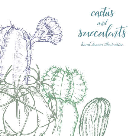 Floral background. Hand drawn vector botanical illustration. Template greeting card, wedding invitation banner with spring flowers. Sketch linear cactus ans succulents . Engraved style illustration.のイラスト素材