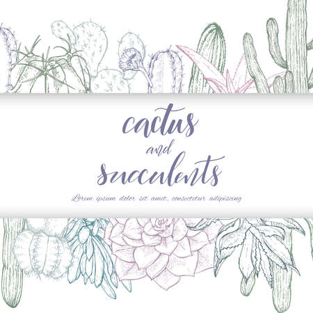 Sketch linear cactus ans succulentsのイラスト素材