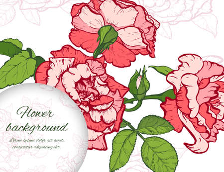 Hand drawn vector botanical illustrationのイラスト素材