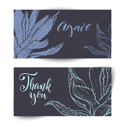 Hand drawn cacti bannersのイラスト素材