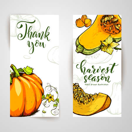Colorful pumpkin sketch hand drawn illustration. Vegetable engraved style illustration. Detailed vegetarian food sketch. Farm market product.のイラスト素材