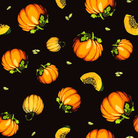 Colorful pumpkin sketch hand drawn illustration. Farm market product.の写真素材