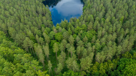 Aerial view over beautiful blue mountain lake and green forestの写真素材