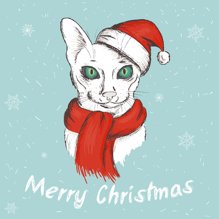 vector illustration of christmas green eyed cat. It is wearing a red christmas hat and a scarf.のイラスト素材