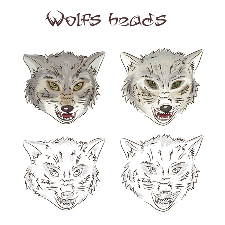 Vector illustration of hand drawn wolves heads. Two of them are painted, two other are scribbled. This illustration is isolated on a white background.のイラスト素材