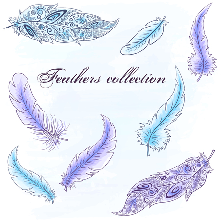 Vector hand drawn set of feathers. Can be used for creating of your own awesome product.のイラスト素材