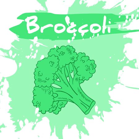 Vector hand drawing illustration of vegetable with label and artistic watercolor splash and brush marks. Broccoli.のイラスト素材