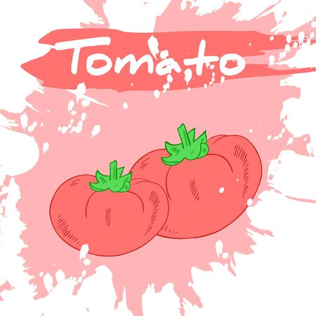 Vector hand drawing illustration of vegetable with label and artistic watercolor splash and brush marks. Tomato.のイラスト素材