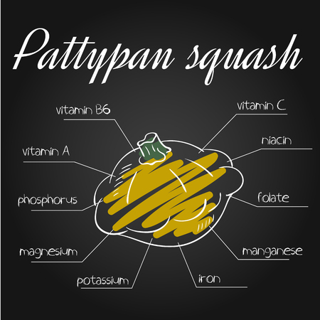 vector illustration of nutrients list for pattypan squash on chalkboard backdrop.のイラスト素材